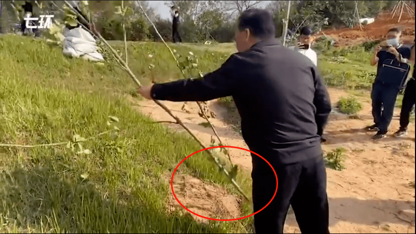 中央环保督察组现场打假,要求党工委书记单手拔"树"_高尔夫球场