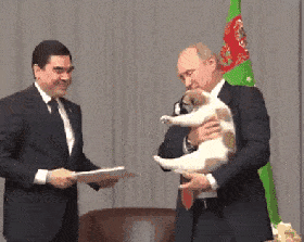 280_223gif 动态图 动图