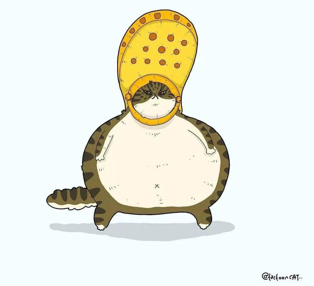 福利爆笑沙雕猫画大赏每一款都可爱到犯规