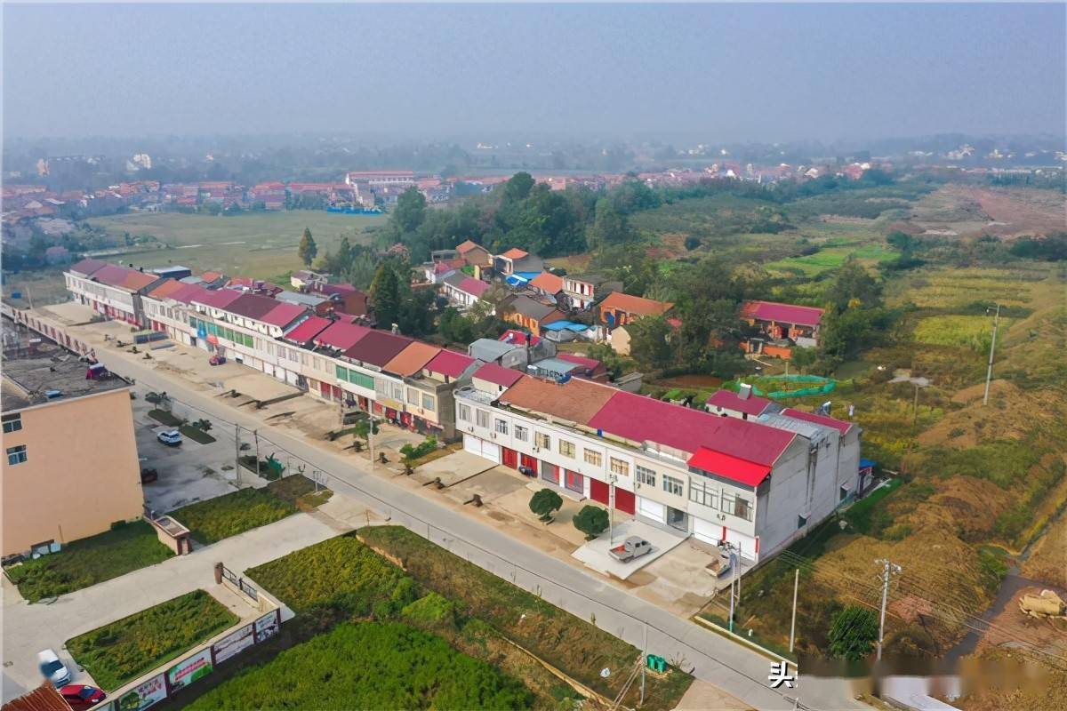 安徽六安金安区:"把脉"乡村提颜值