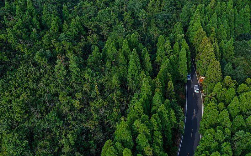 晋安:强化生态环保领域监督执纪问责_林地
