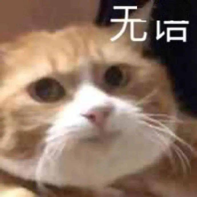 涉黄 涉毒 娱乐圈 就尼玛离谱 景天