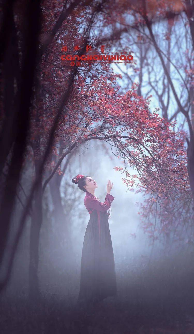 人像摄影相思难剪