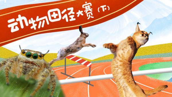 脚踩弹簧,飞跃数米,天生的"跳远冠军"究竟有何独门秘籍?_动物园