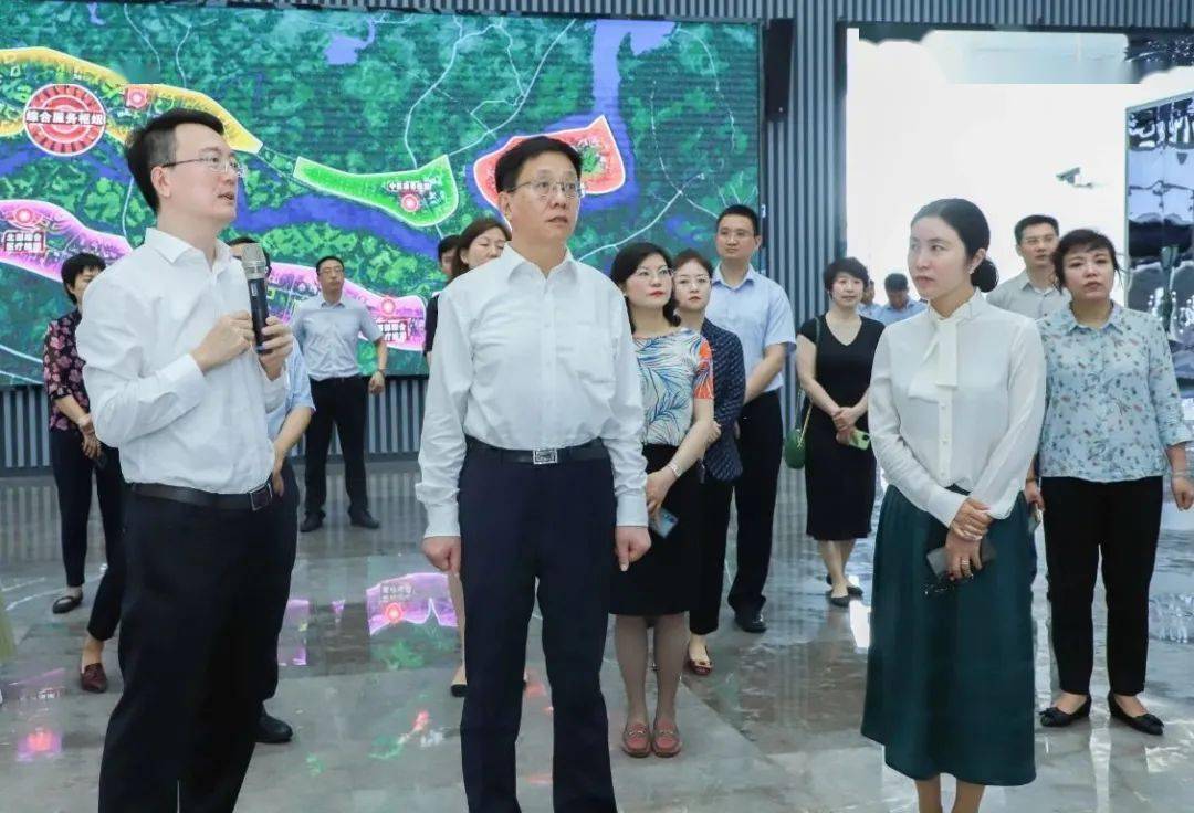 云南省省长王予波一行到乐城先行区调研