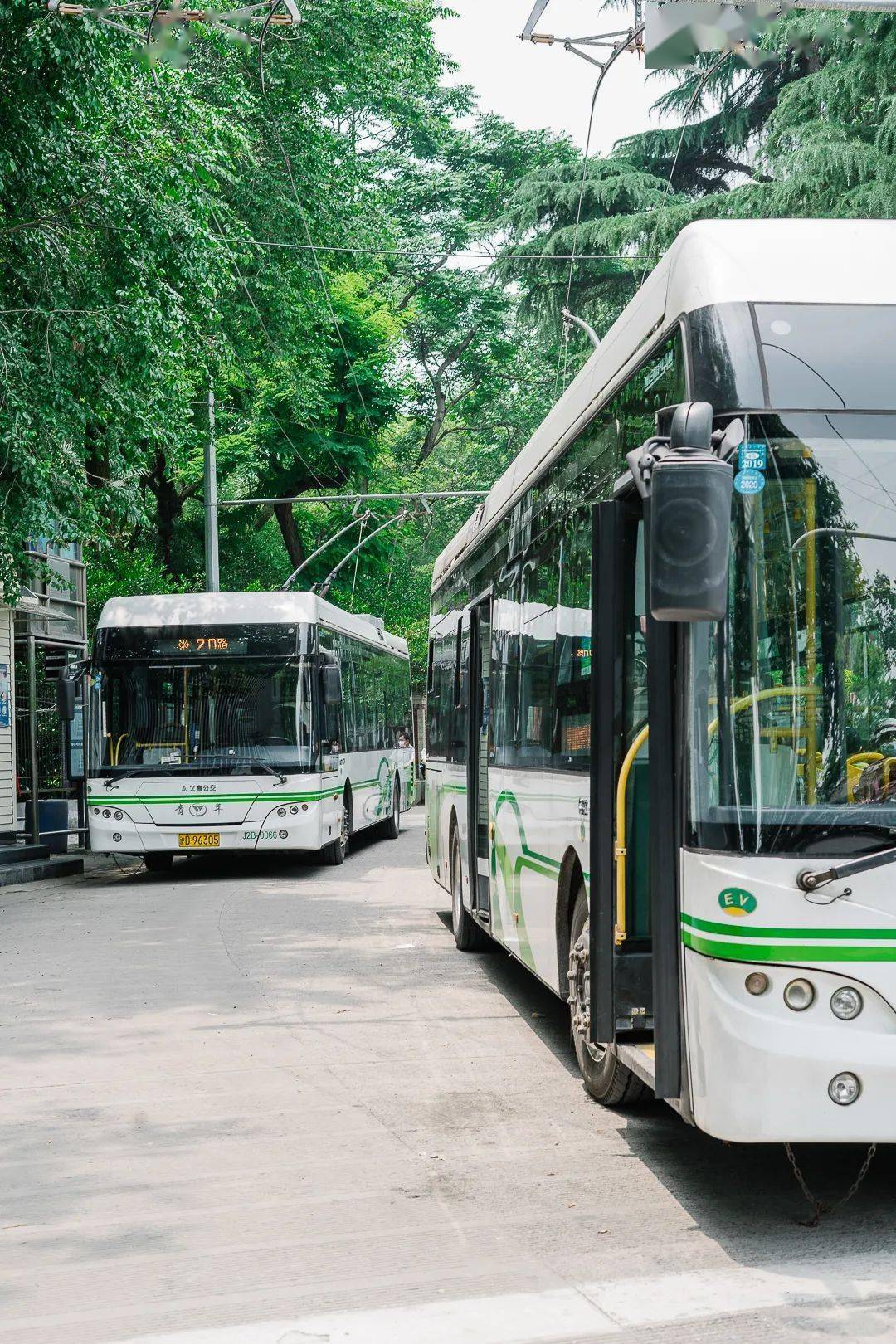 上海公交车侧面图片