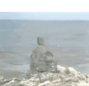 孙悟空在海边狂奔的图图片