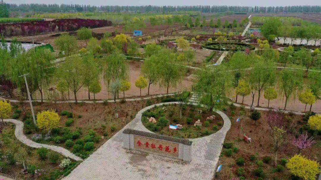 明媚夏日001元来金贵牡丹花乡采摘果蔬烧烤佳肴