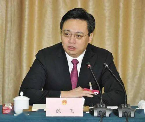 烟台原市长陈飞新职务公开