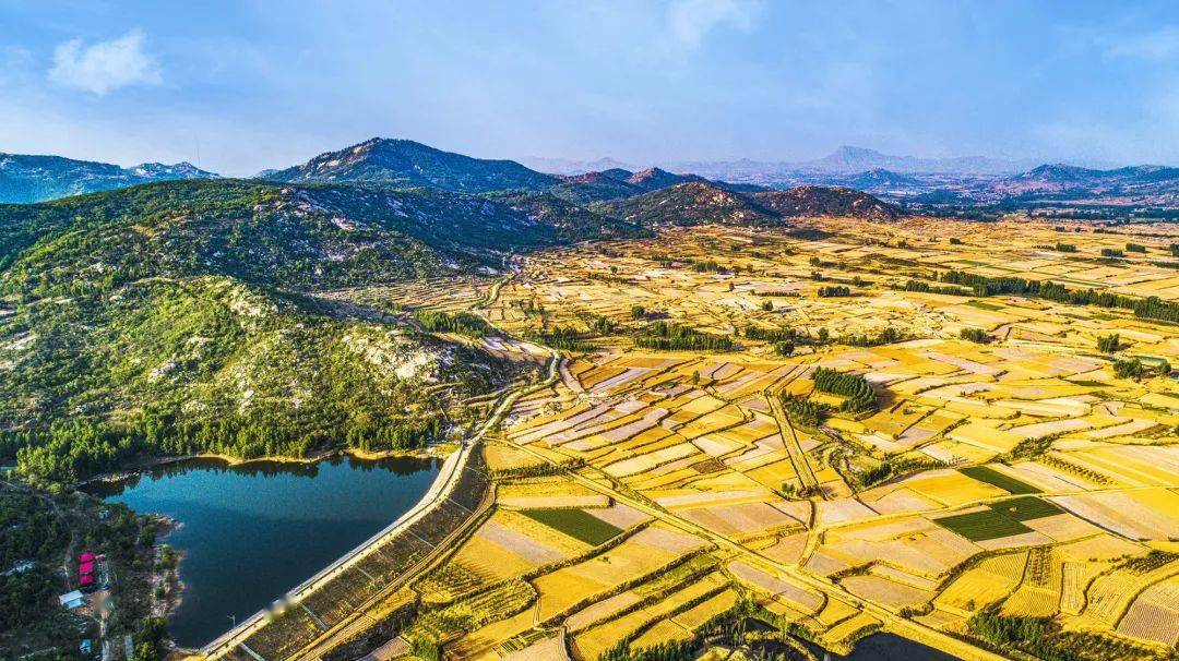邹城市香城镇:高空视角下的农田之美