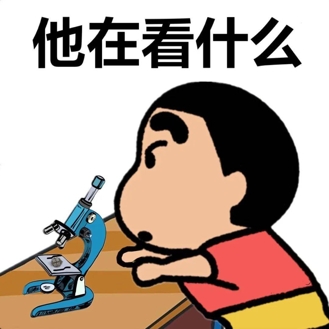 今日份的沙雕表情包果然更上一层楼