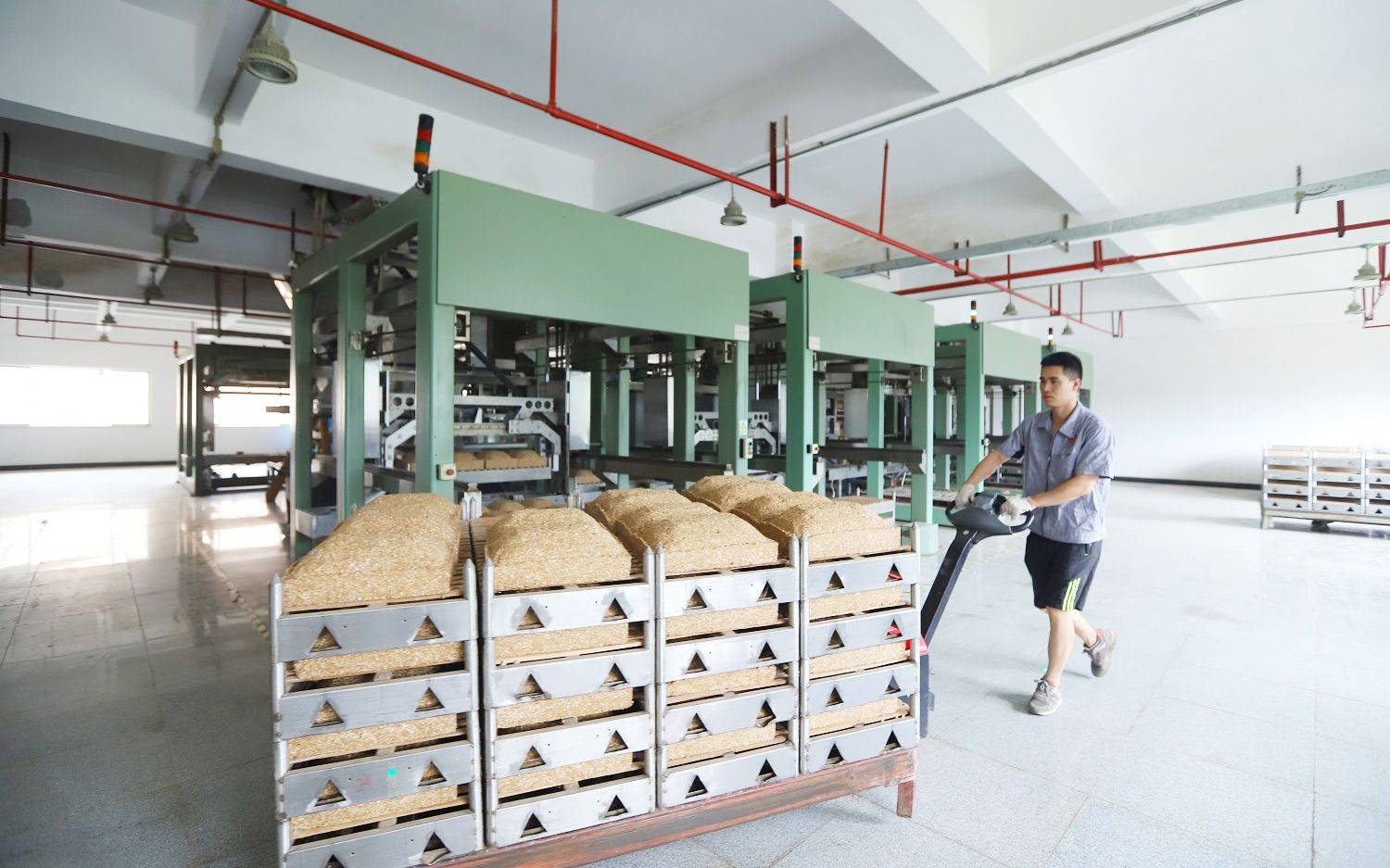 身边的国货国台酒秉持传统技艺探索智能酿造