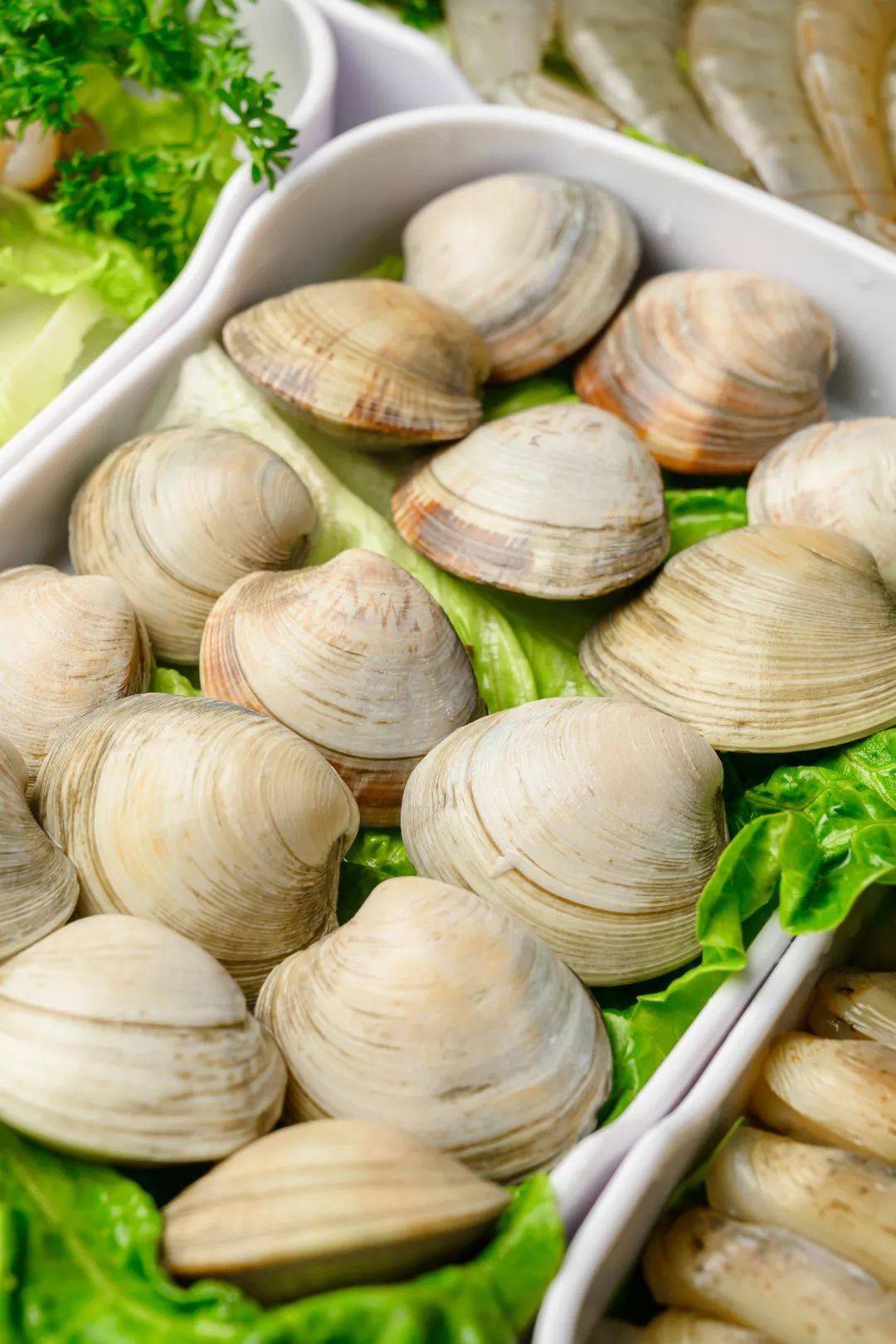 青口,香妃鲍螺.拿上!