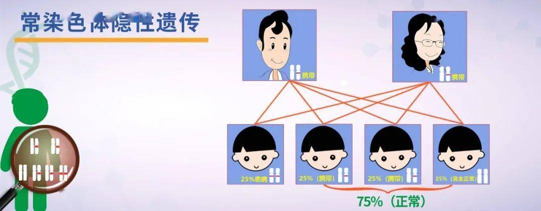 你听过低铜饮食吗?红豆、绿豆竟被列入其中“黑名单”!