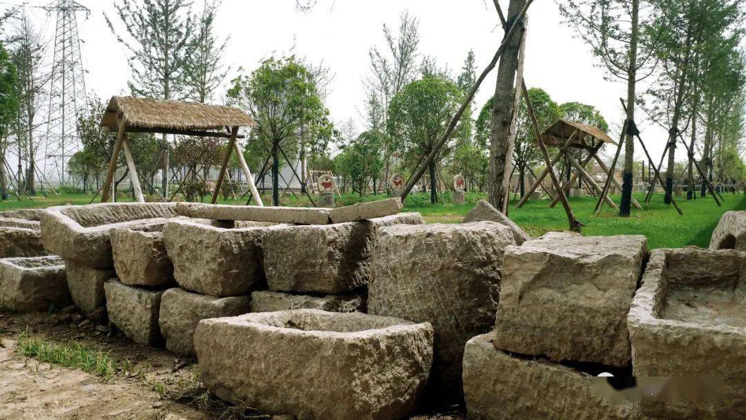 美课堂感受传统文化体验农耕乐趣