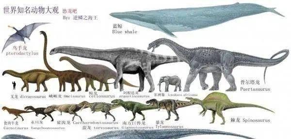 不好了 地球发现史前巨大生物 远比想象的大 科学家 可怕 体型