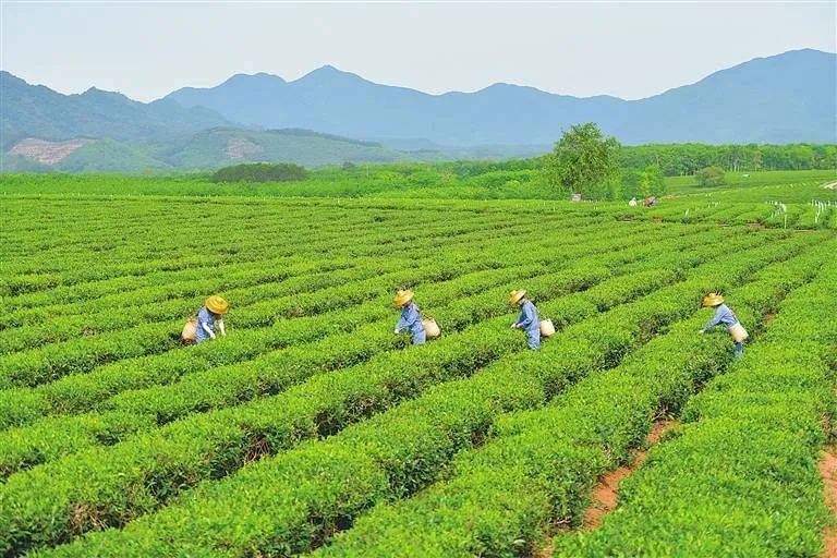 海南党史百件大事 | 海南改革农垦管理体制