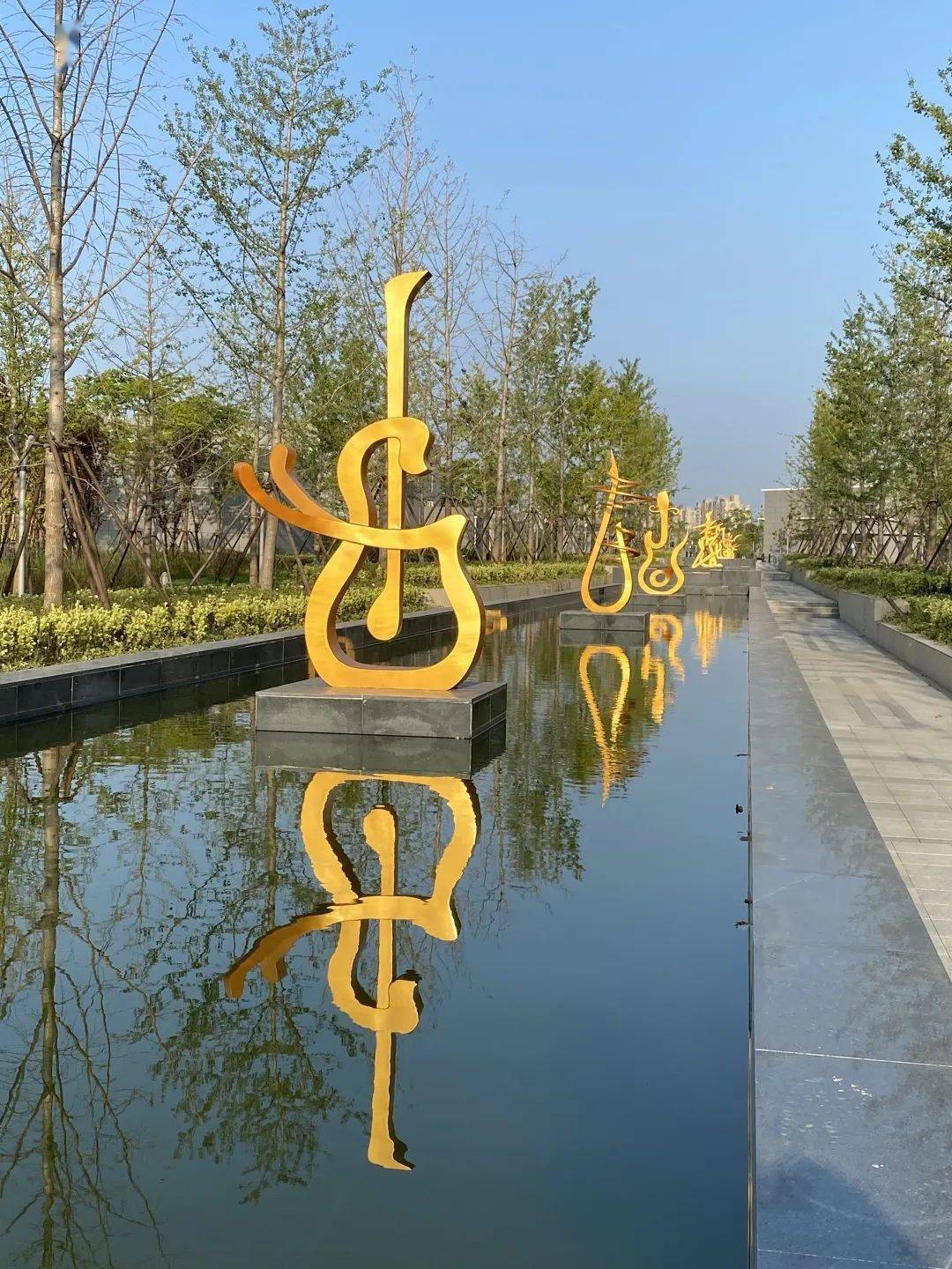 探索石榴花金鸡菊临空音乐公园的美景又上新了