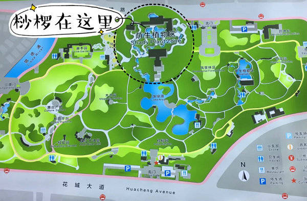 珠江公园地址图片