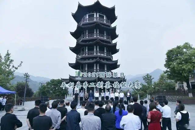 平利县举办"2021·国际茶日"手工制茶技能大赛