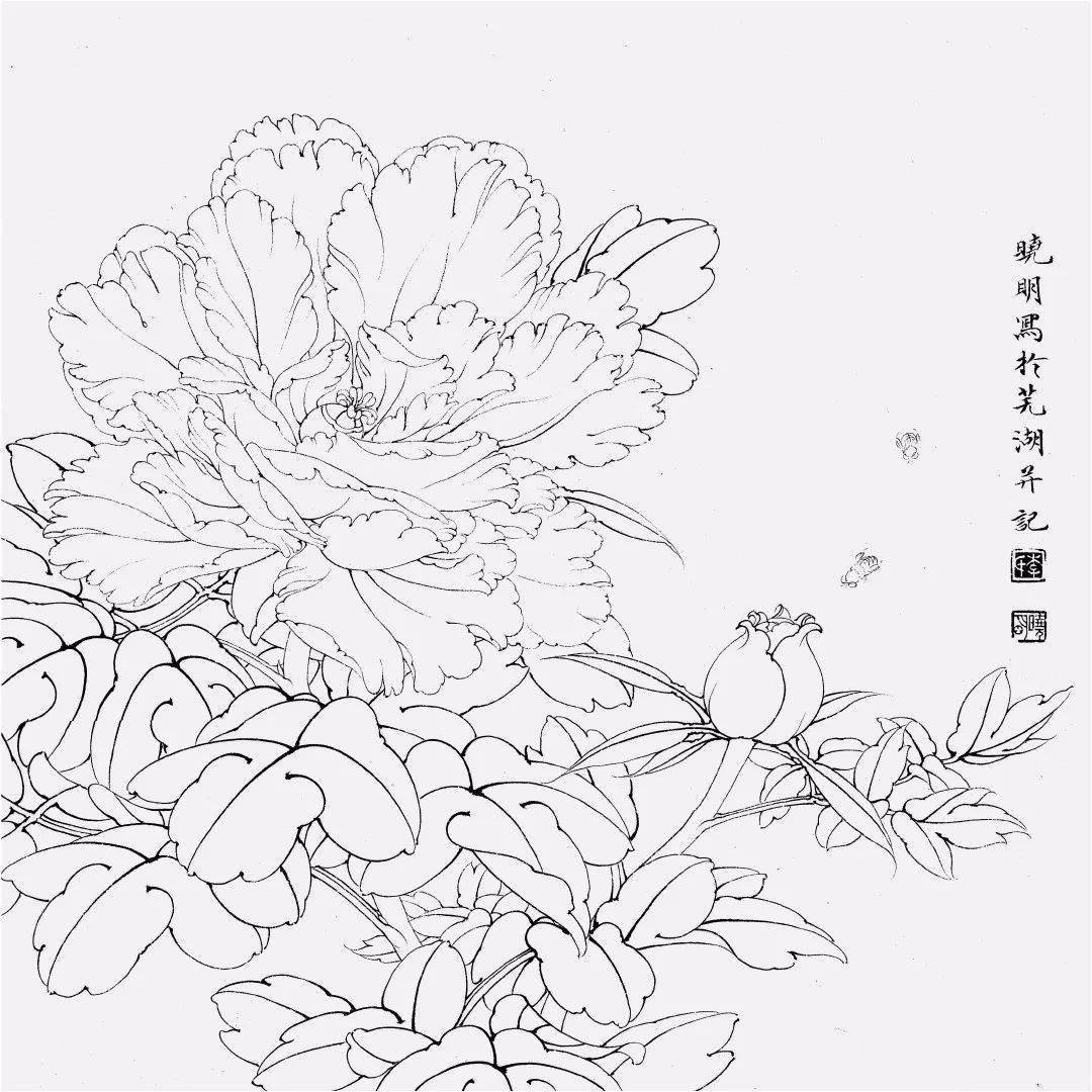 李晓明工笔牡丹赛珠盘绘制步骤用这种方法立体感满满