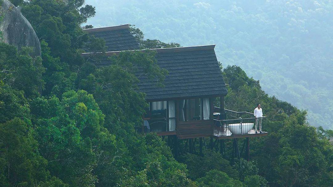 699元购【亚龙湾鸟巢度假村】别墅,含2大2小自助早餐 门票._非诚勿扰