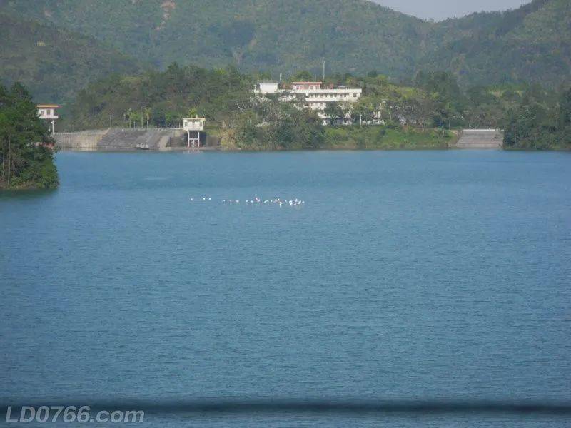 平湖罗山水库图片