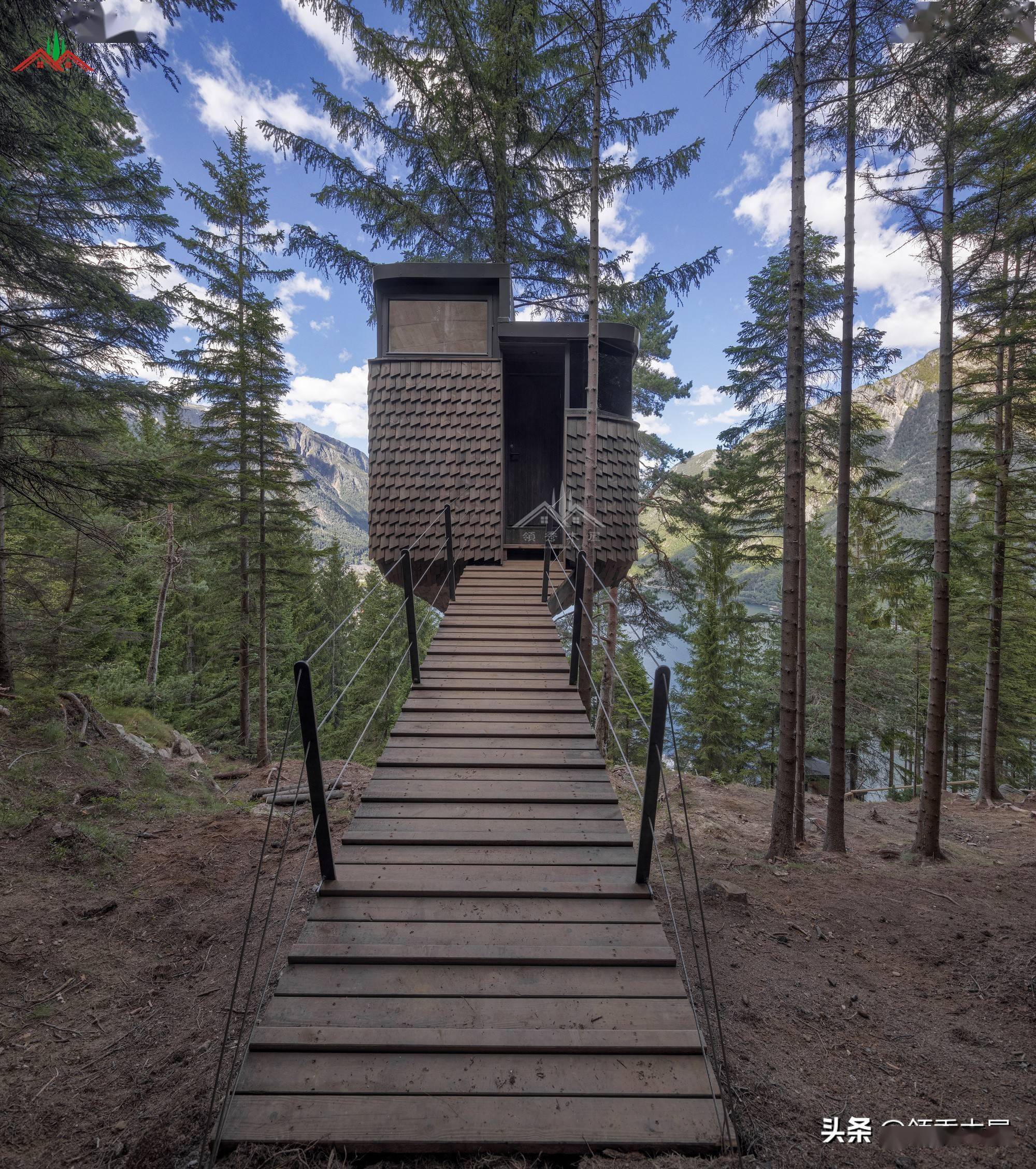 在一棵树上建造一栋房子叫树屋这样的树屋你敢住吗