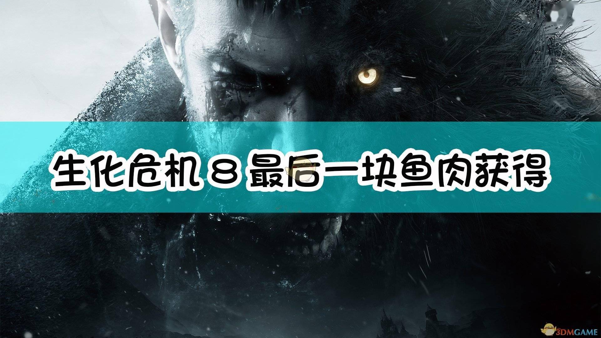 生化危机8村庄最后一块鱼肉获得方法