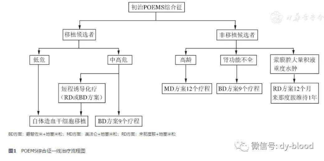 乳房大小,皮肤病变等),有无新发症状/体征,血尿免疫固定电泳,甲状腺