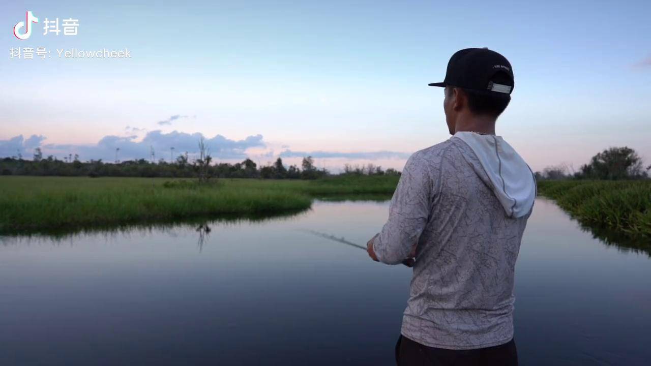 打龟之歌龚磊路亚keebow