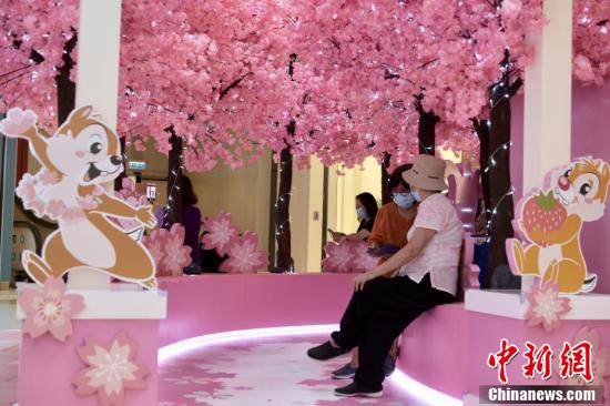 香港市民旺角观赏迪士尼限定 樱花 装饰