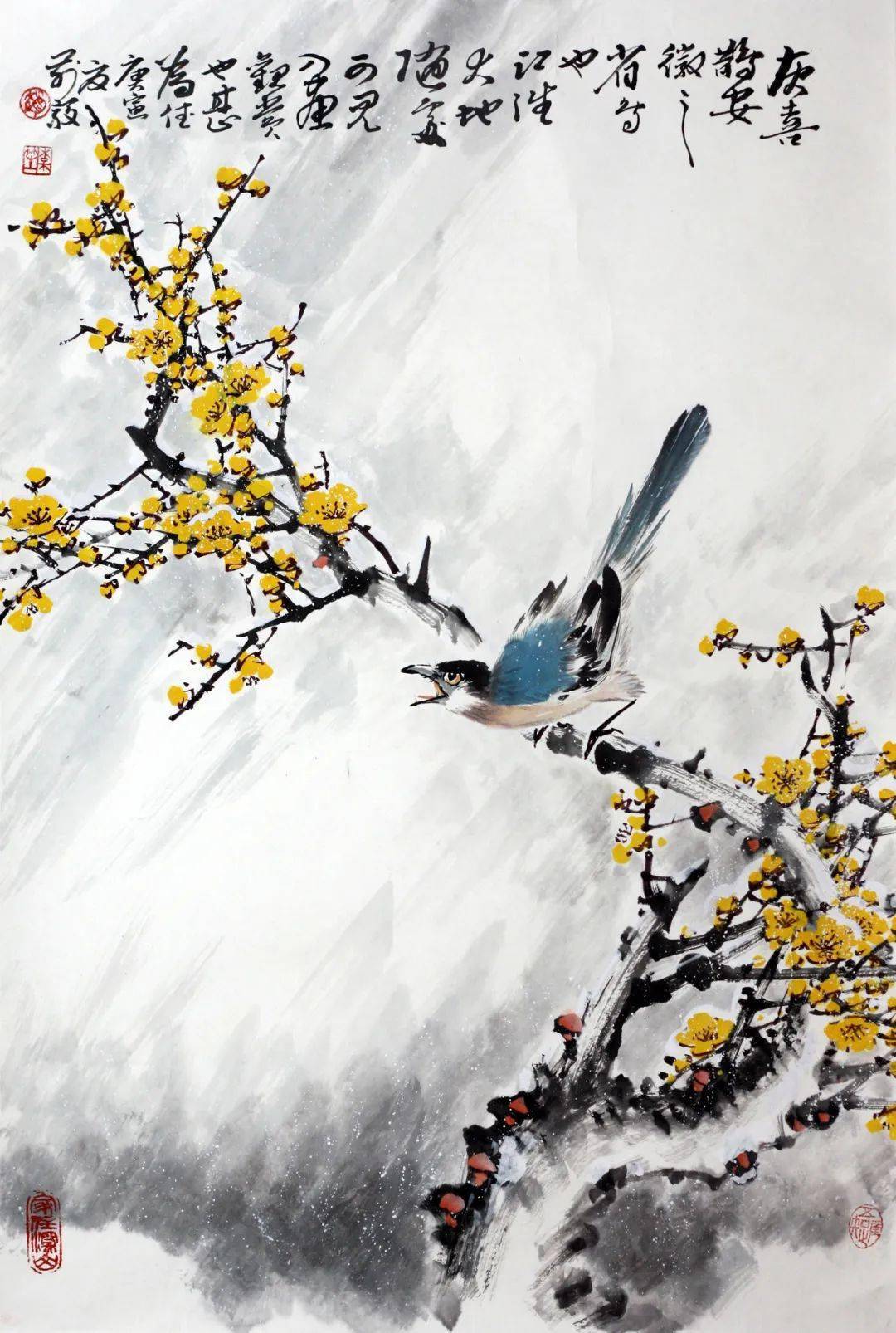 图文教程灰喜鹊的画法