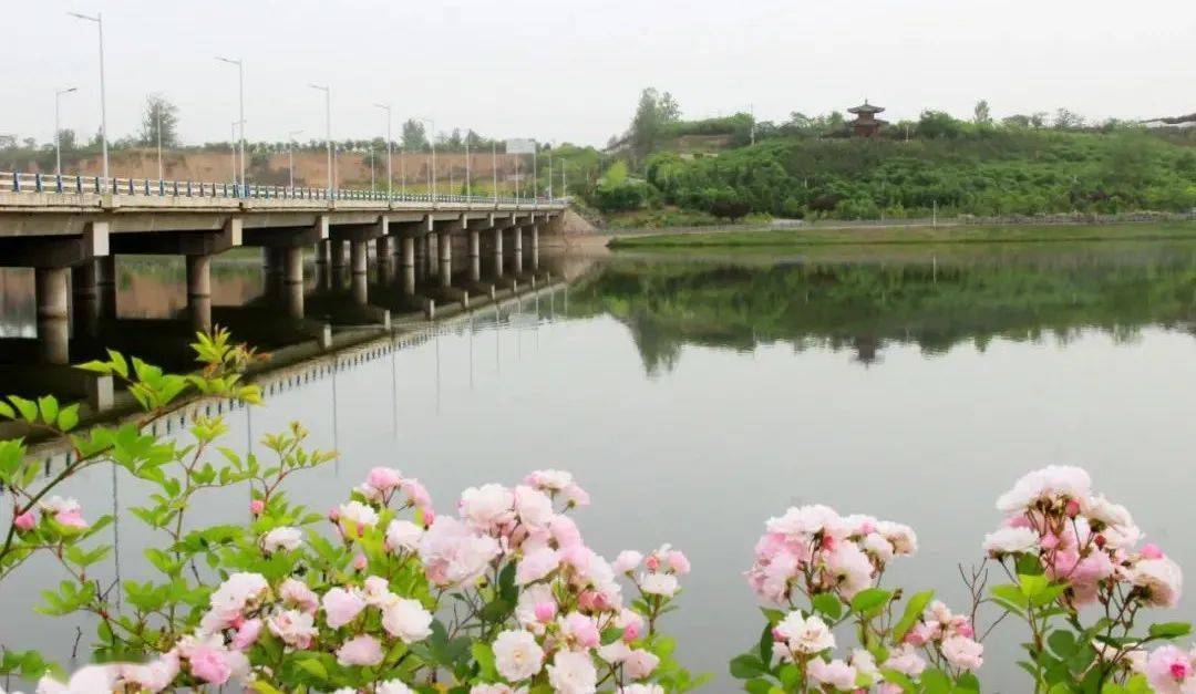 石川河阎良风景区图片