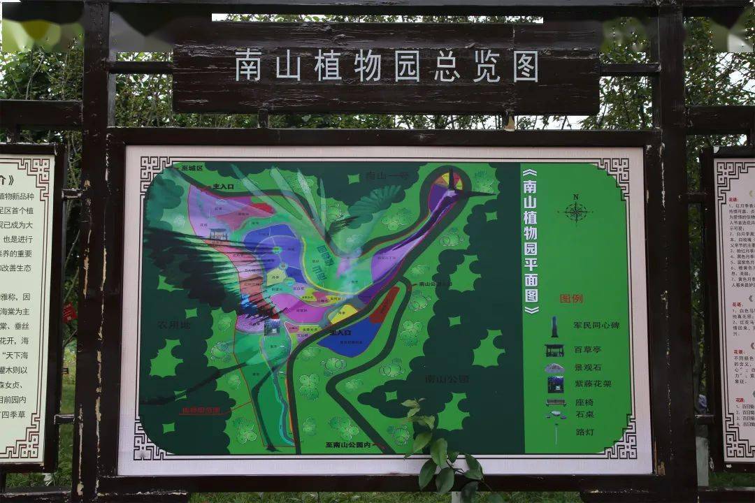 大足南山公园植物科普园花开正艳赏花拍照来打卡