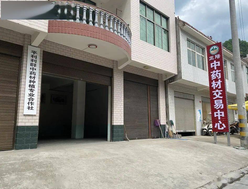 平利县正阳镇药乡飘药香