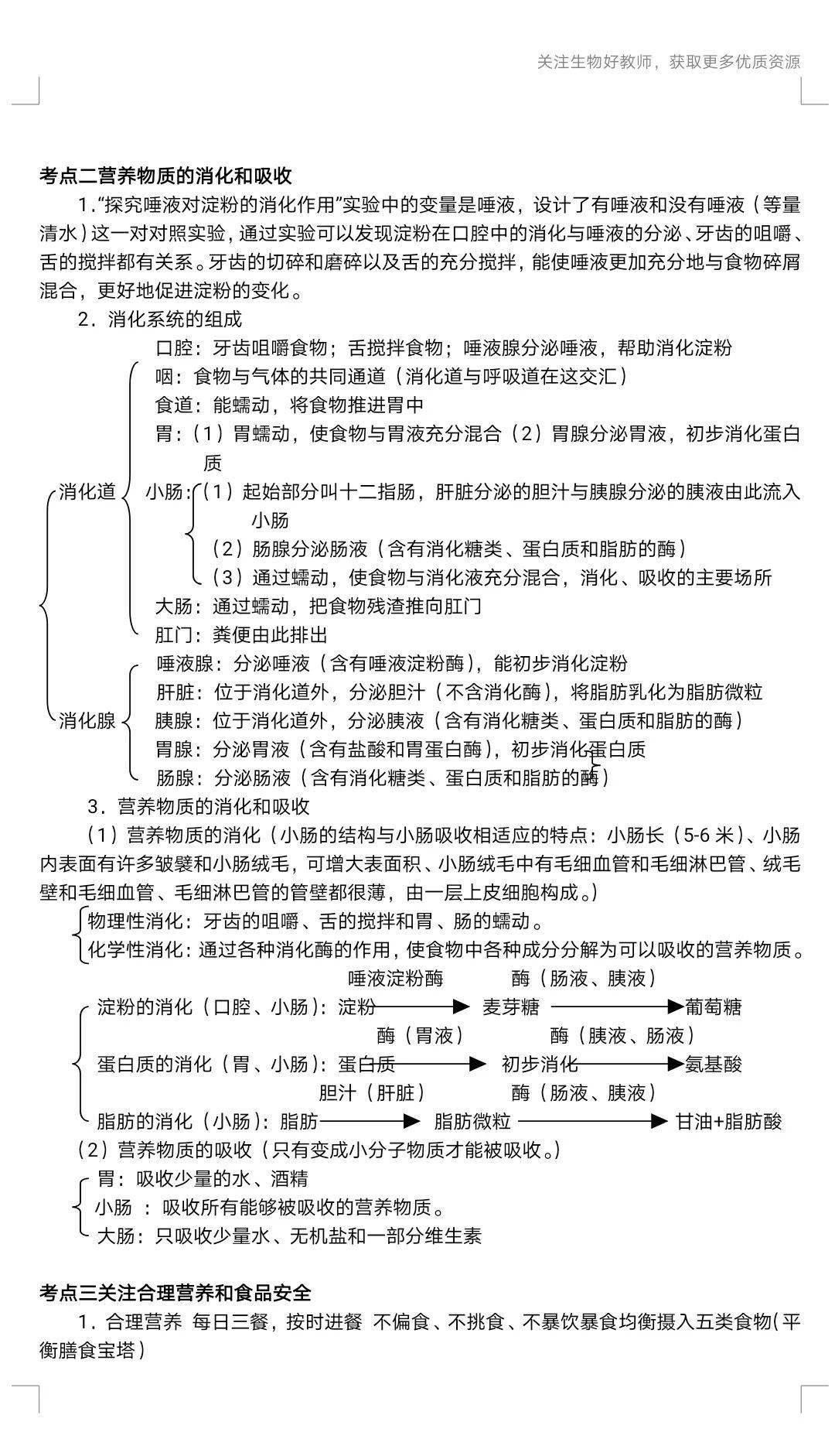 七年級生物知識點思維導圖可下載打印