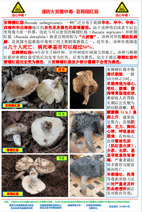 野生蘑菇中毒警示