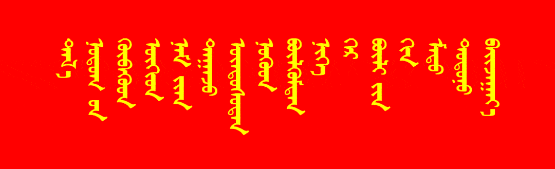 全面加强国家通用语言文字教育 铸牢中华民族共同体意识