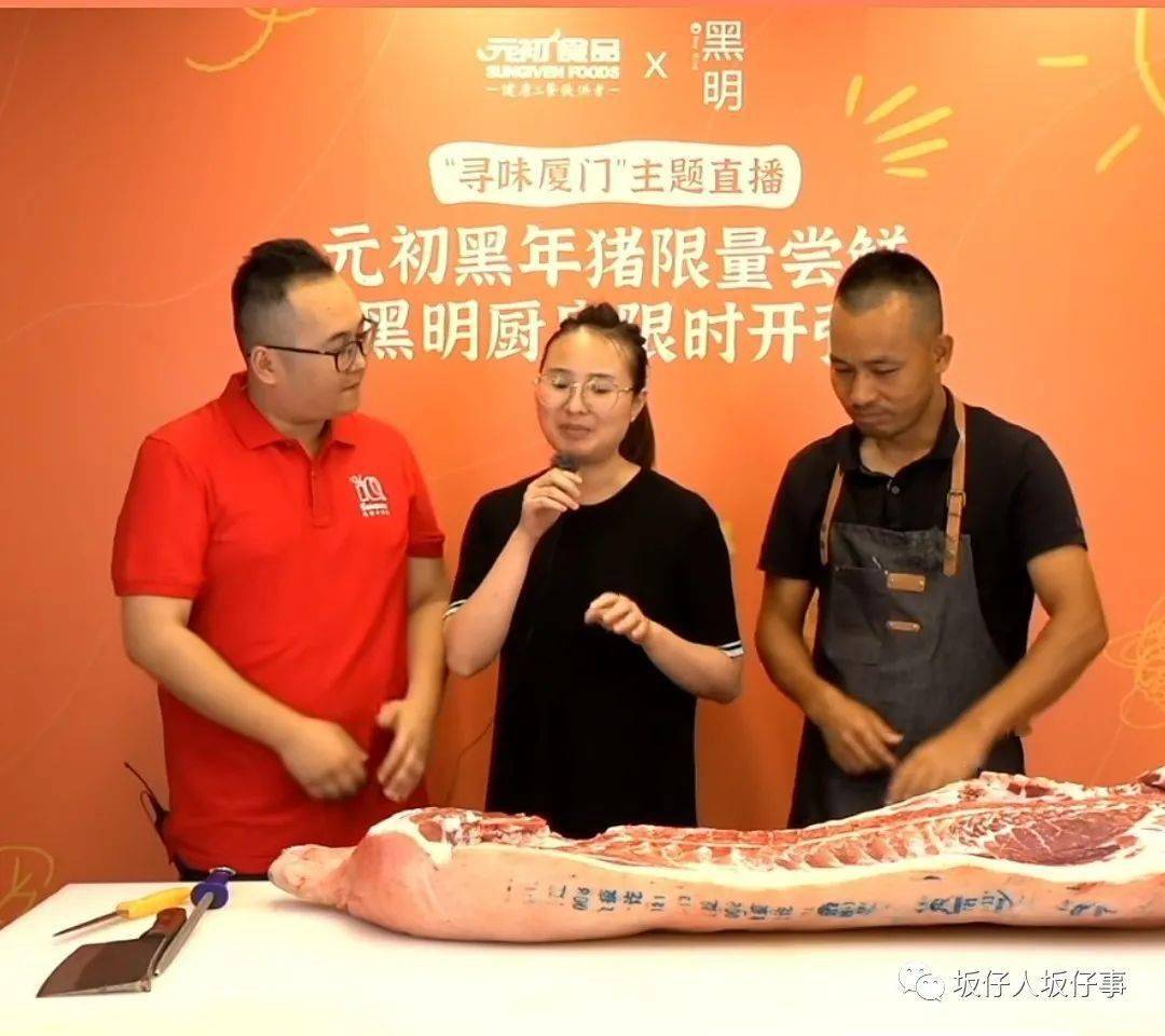 直播回放厦门元初大厨黑明坂仔天空黑年猪