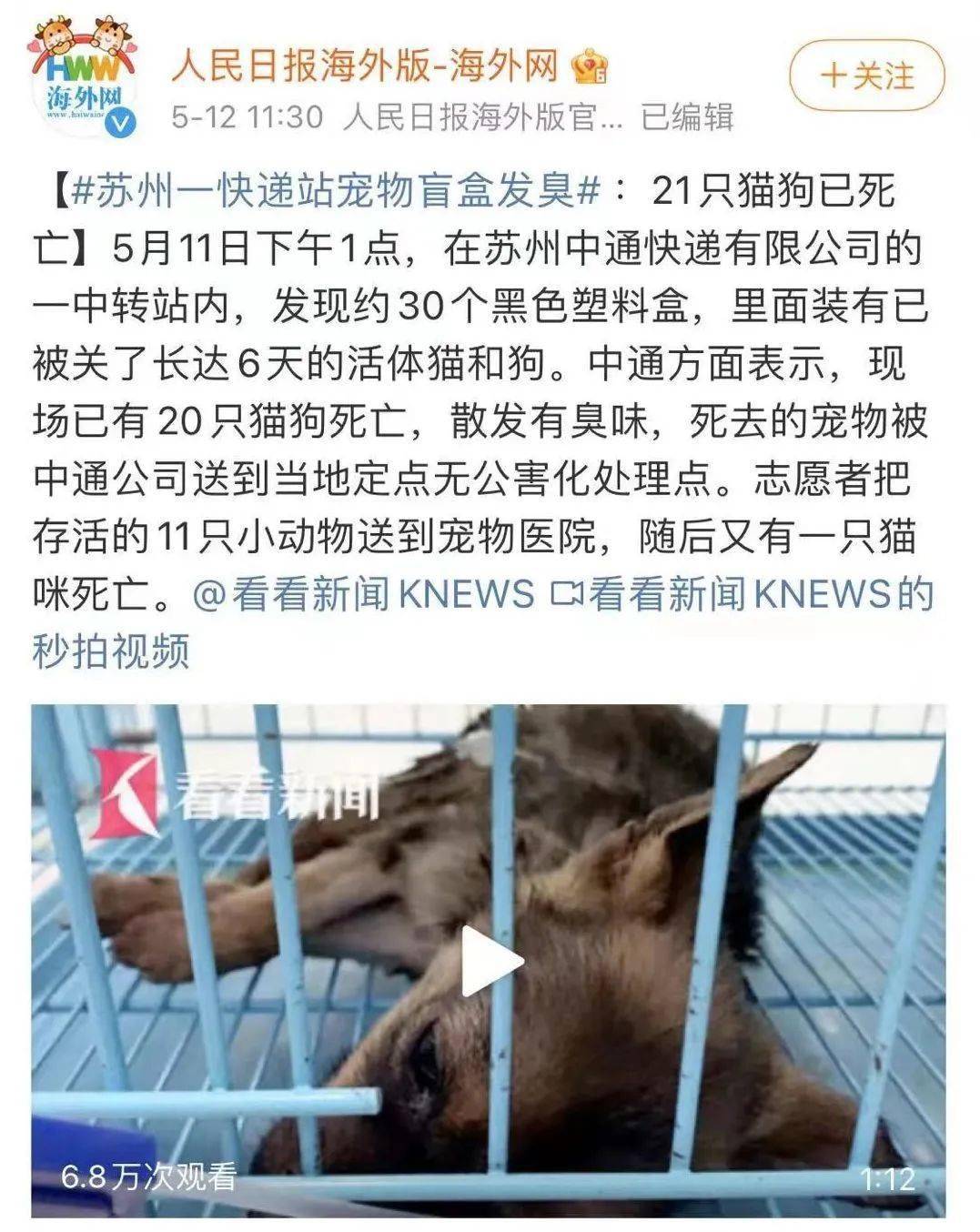 是苏州志愿者们统计苏州中通退回的 "宠物盲盒"事件救助的猫狗死亡