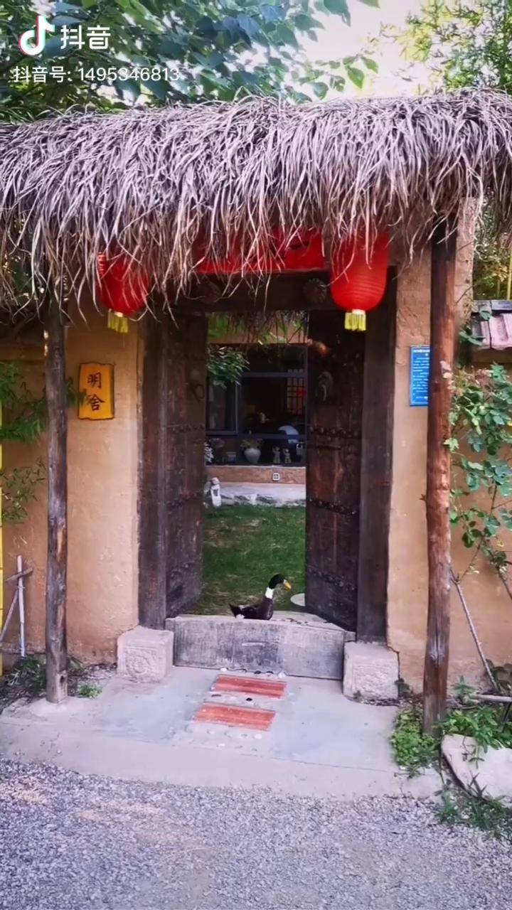 长安城外终南山下竟藏着一处隐世小院最向往的生活终南明舍