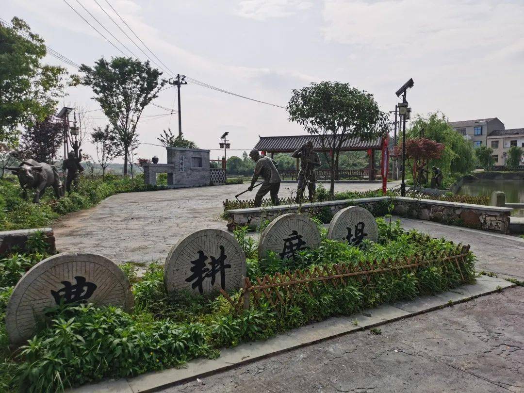 丰城市同田乡同田村:绿水良田共建美好家园