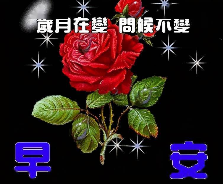 一心牽掛的是朋友一觸即發的是祝福朋友早上好