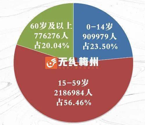 第六次人口普查人_第七次人口普查(3)