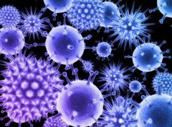 新研究发现了冠状病毒 致命弱点 细胞