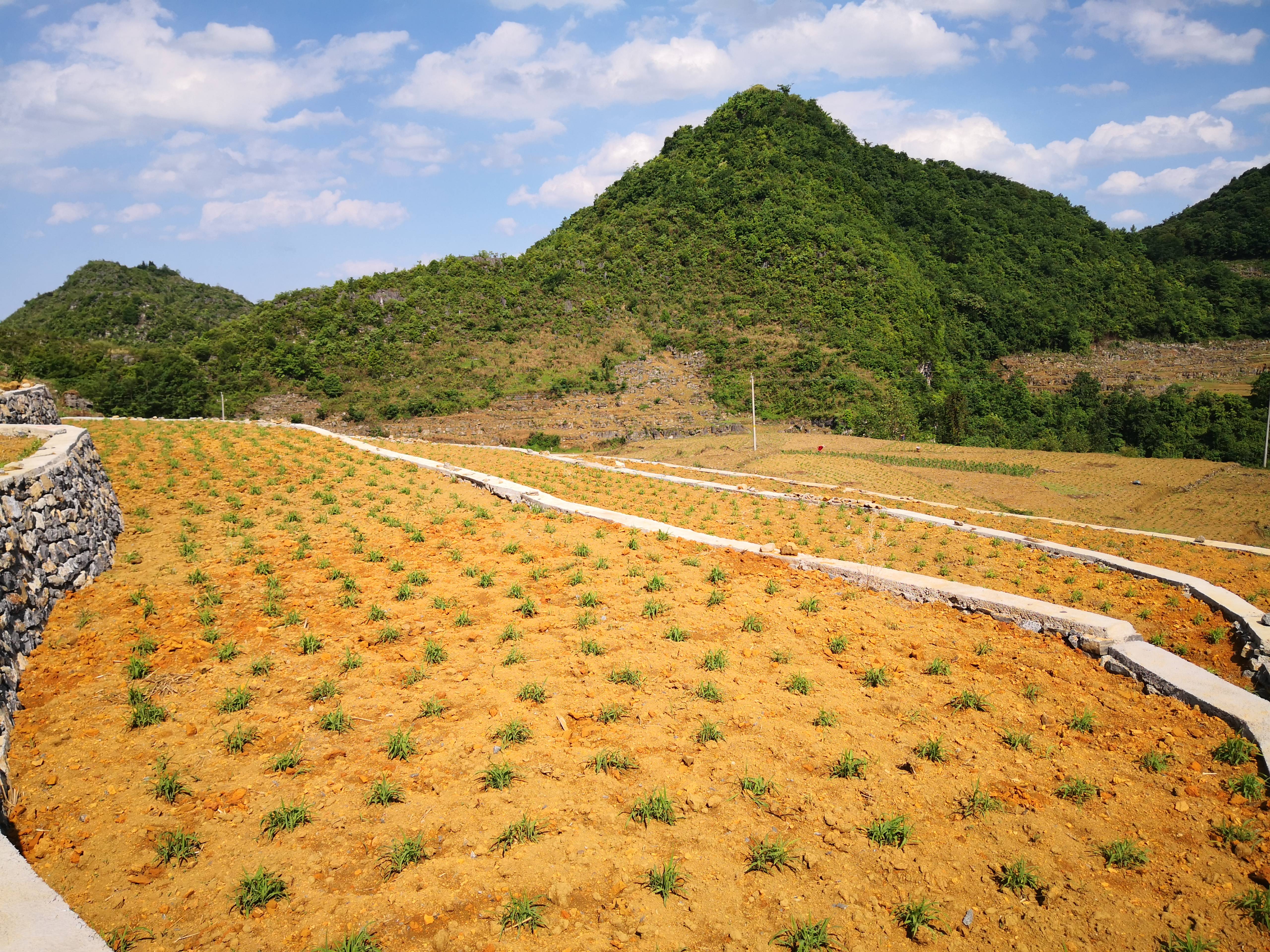 贞丰长田瓦厂村坡耕地水土流失综合治理工程竣工投用