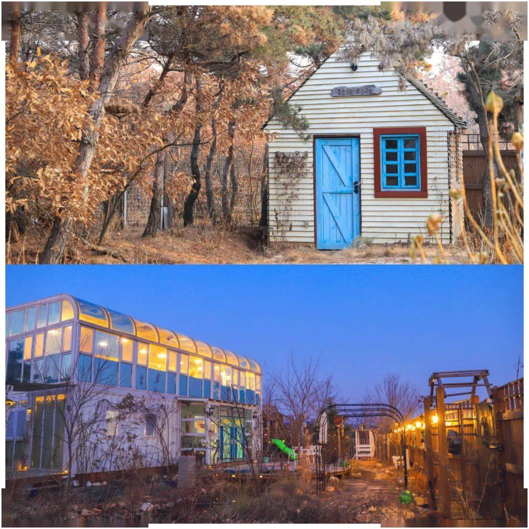 星球花园合肥市人大代表沈保山的创业史志