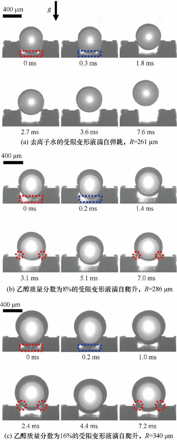 2021年第4期受限微结构对低表面张力液滴合并弹跳的影响