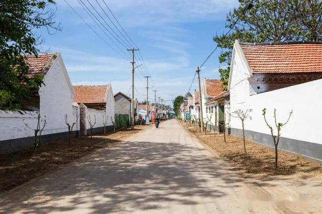 寿光这14个村新班子一上任,做了这些事